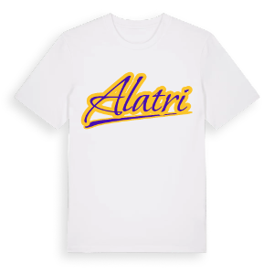 Alatri baseball t-shirt – ekologisk bomull t-shirt från Pinshirt