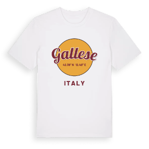 Gallese cirkel t-shirt – ekologisk bomull t-shirt från Pinshirt