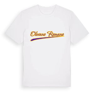 Olevano Romano baseball t-shirt – ekologisk bomull t-shirt från Pinshirt