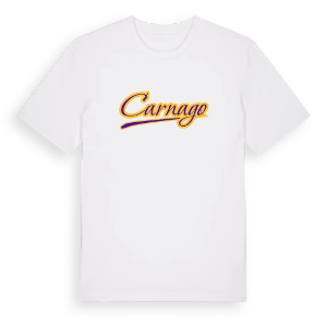 Carnago baseball t-shirt – ekologisk bomull t-shirt från Pinshirt