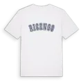 Ricengo college t-shirt