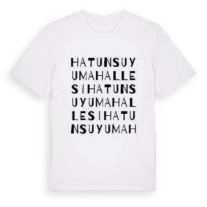 Hatunsuyu Mahallesi ordlek t-shirt – ekologisk bomull t-shirt från Pinshirt