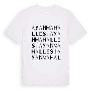 Ayan Mahallesi ordlek t-shirt – ekologisk bomull t-shirt från Pinshirt