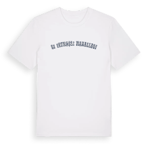 Sığırtmaçlı Mahallesi college t-shirt – ekologisk bomull t-shirt från Pinshirt