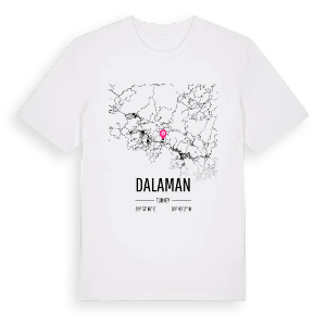 Dalaman karta t-shirt – ekologisk bomull t-shirt från Pinshirt