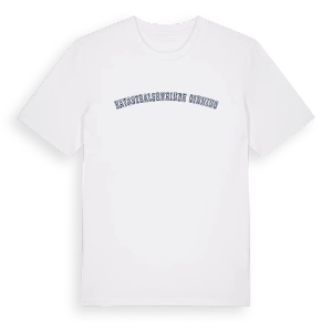 Katastralgemeinde Ginning college t-shirt – ekologisk bomull t-shirt från Pinshirt