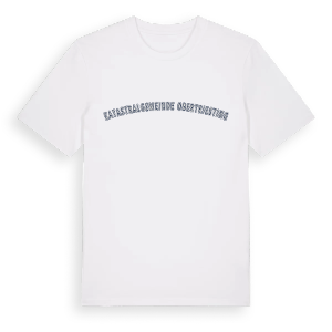 Katastralgemeinde Obertriesting college t-shirt – ekologisk bomull t-shirt från Pinshirt