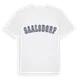 Saalsdorf college t-shirt