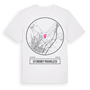 Efendibey Mahallesi t-shirt – ekologisk bomull t-shirt från Pinshirt