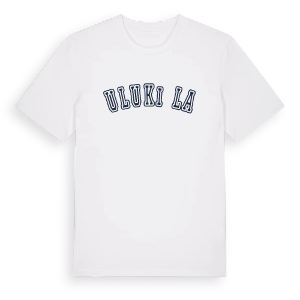 Ulukışla college t-shirt – ekologisk bomull t-shirt från Pinshirt