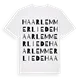 Haarlemmerliede ordlek t-shirt