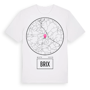 Brix t-shirt – ekologisk bomull t-shirt från Pinshirt