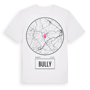 Bully t-shirt – ekologisk bomull t-shirt från Pinshirt
