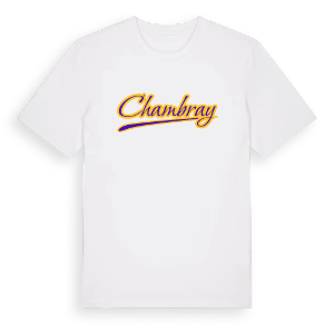 Chambray baseball t-shirt – ekologisk bomull t-shirt från Pinshirt