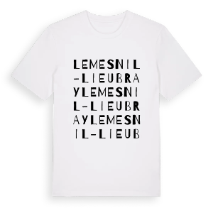 Le Mesnil-Lieubray ordlek t-shirt – ekologisk bomull t-shirt från Pinshirt