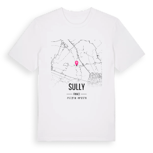 Sully karta t-shirt – ekologisk bomull t-shirt från Pinshirt