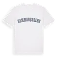 Sammarçolles college t-shirt