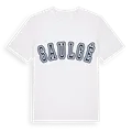 Saulgé college t-shirt