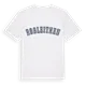 Roßleithen college t-shirt