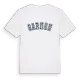 Sarnen college t-shirt