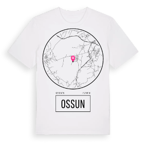 Ossun t-shirt – ekologisk bomull t-shirt från Pinshirt