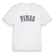 Pinas college t-shirt
