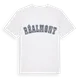 Réalmont college t-shirt