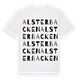 Alsterbacken ordlek t-shirt