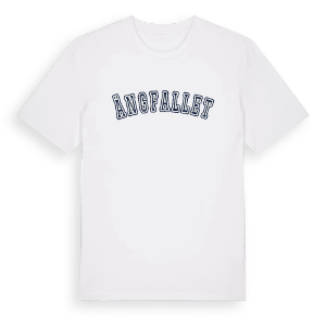 Ängfallet college t-shirt – ekologisk bomull t-shirt från Pinshirt