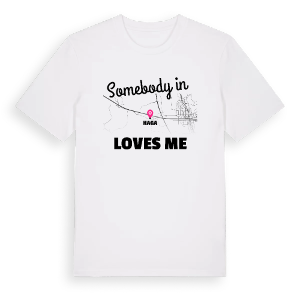 Någon i Haga älskar mig t-shirt – ekologisk bomull t-shirt från Pinshirt