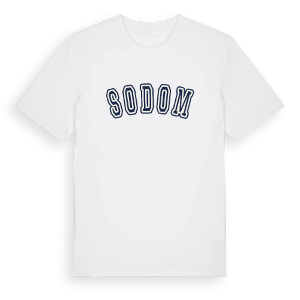 Sodom college t-shirt – ekologisk bomull t-shirt från Pinshirt