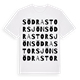 Södra Storsjön ordlek t-shirt
