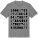 Mid Heather Gray t-shirt med Södra Torptjärn ordlek t-shirt