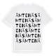 Ämtenäs ordlek t-shirt