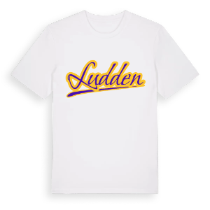 Ludden baseball t-shirt – ekologisk bomull t-shirt från Pinshirt