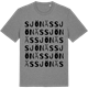 Mid Heather Gray t-shirt med Sjönäs ordlek t-shirt