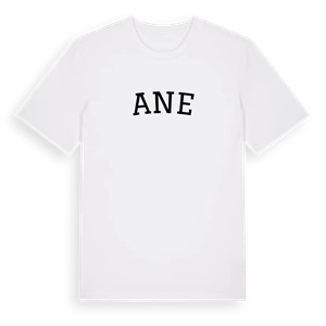 Ane böjd t-shirt – ekologisk bomull t-shirt från Pinshirt
