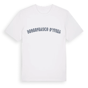 Borgofranco d'Ivrea college t-shirt – ekologisk bomull t-shirt från Pinshirt