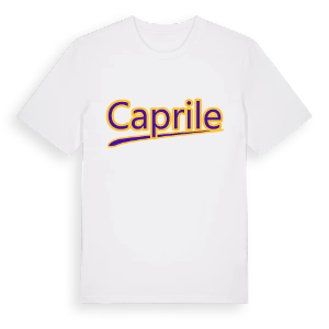 Caprile baseball t-shirt – ekologisk bomull t-shirt från Pinshirt