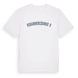 Circoscrizione 2 college t-shirt – ekologisk bomull t-shirt från Pinshirt