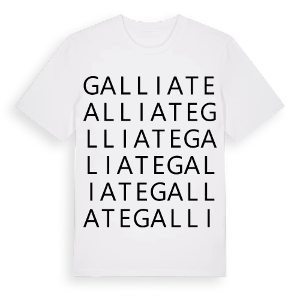Galliate ordlek t-shirt – ekologisk bomull t-shirt från Pinshirt