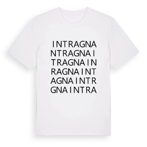 Intragna ordlek t-shirt – ekologisk bomull t-shirt från Pinshirt