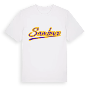 Sambuco baseball t-shirt – ekologisk bomull t-shirt från Pinshirt