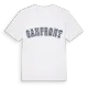Sanfront college t-shirt