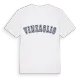 Vinzaglio college t-shirt