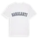 Sahalahti college t-shirt