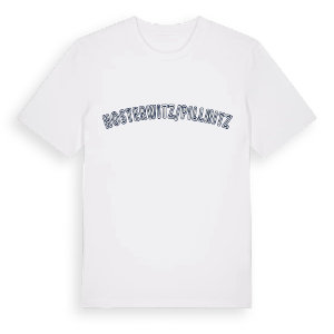 Hosterwitz/Pillnitz college t-shirt – ekologisk bomull t-shirt från Pinshirt