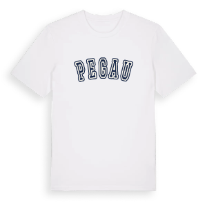 Pegau college t-shirt – ekologisk bomull t-shirt från Pinshirt