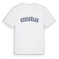 Steinölsa college t-shirt