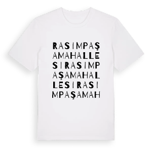 Rasimpaşa Mahallesi ordlek t-shirt – ekologisk bomull t-shirt från Pinshirt